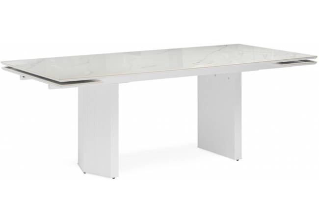 Монерон 200x100 дерево / белый