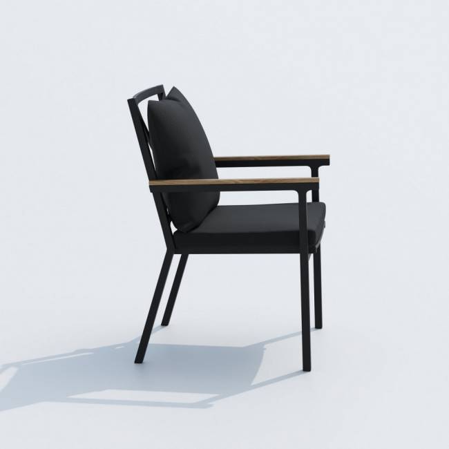 Стул FESTA plus черный - каркас карбон