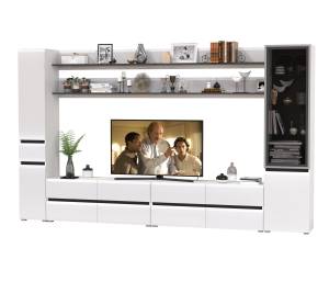 Сидней мебель для гостиной корпусная № 126 цвет белый/чёрный/МДФ белый глянец