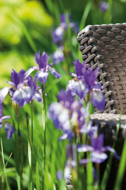 Комплект кресел Корфу Дуо (Corfu Duo) коричневый Комплект кресел Корфу Дуо (Corfu Duo) коричневый