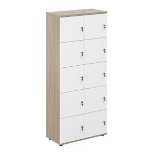 SG.820.OD.WH / Локер 10 ячеек 800х400х1866 / корпус: дуб темный; фасады: белый