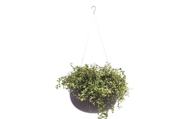 Кашпо Cozies M подвесное Violet 610