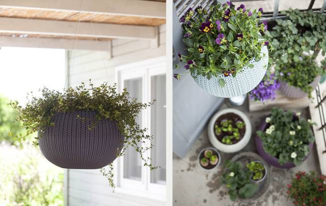 Кашпо Cozies M подвесное Violet 610