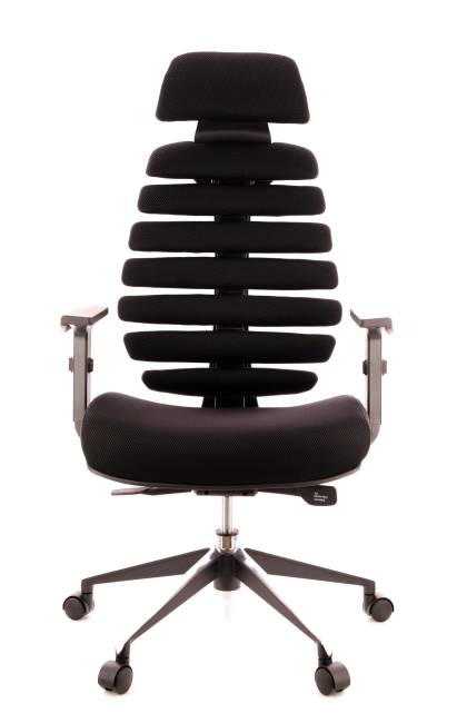 Кресло Everprof Ergo Black Ткань Черный