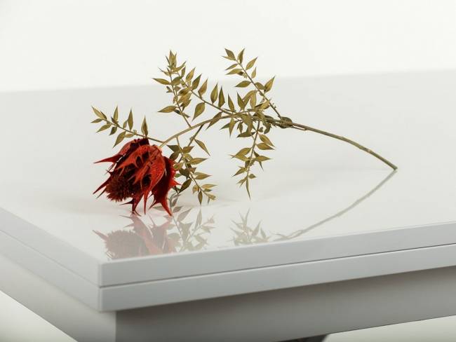 Стол-трансформер Левмар Cross G15/S79 белый глянец/ опоры нерж.сталь Стол-трансформер Левмар Cross G15/S79 белый глянец/ опоры нерж.сталь