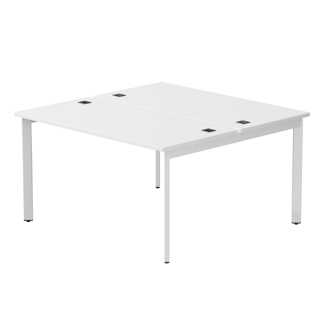 Бенч-система на 2 места Everprof EVO на металлокаркасе 1380х670(1370)x755 опоры 45гр Белый/Белый