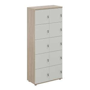 SG.820.OD.SH / Локер 10 ячеек 800х400х1866 / корпус: дуб темный; фасады: серый бархат