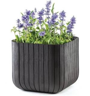 Кашпо Куб M (Keter cube planter M)