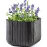 Кашпо Куб M (Keter cube planter M)