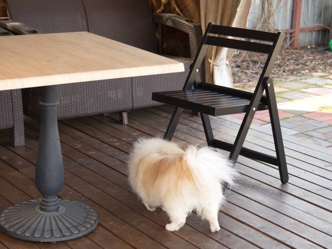 Складной стул Даччи венге