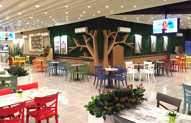 Стул пластиковый XSera-S голубой 490х550х840 мм Стул пластиковый XSera-S голубой 490х550х840 мм