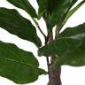 Искусственные растения, Фикус лирата, MK-7407-FC, 0х0х120 см, Темно-зеленый