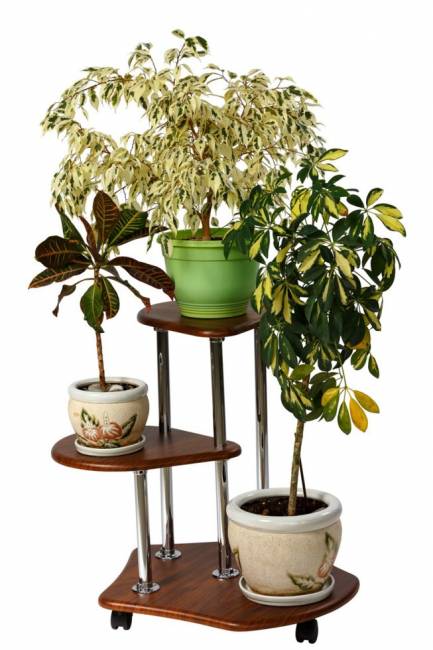 Подставка под цветы Калифорния Двоечка, орех