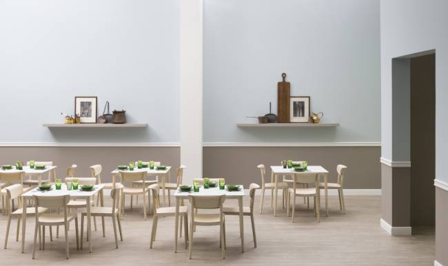 Стул деревянный Tivoli беленый ясень 480х530х780 мм