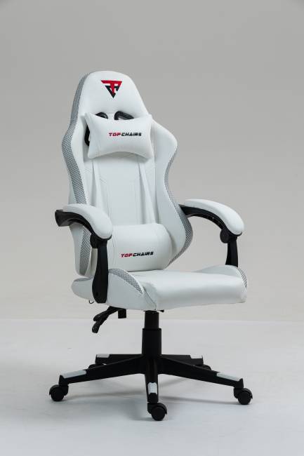Кресло спортивное TopChairs Druid белый