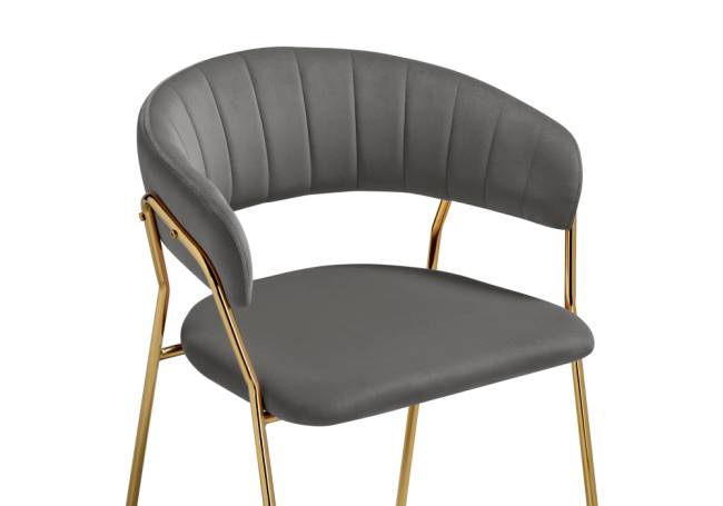 Kamelia 1 dark gray / gold