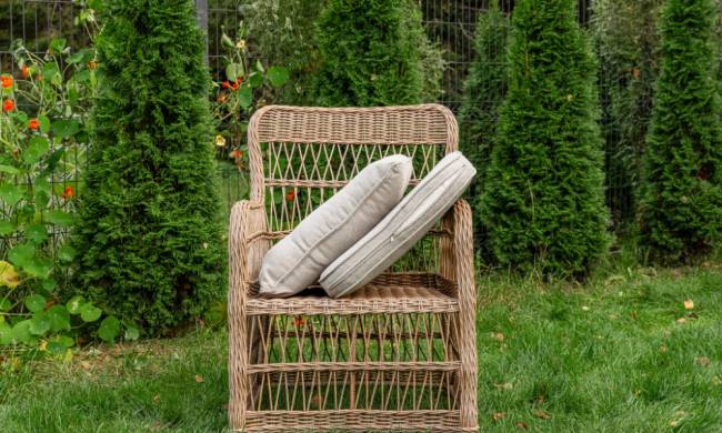 Обеденное кресло ISABELLA