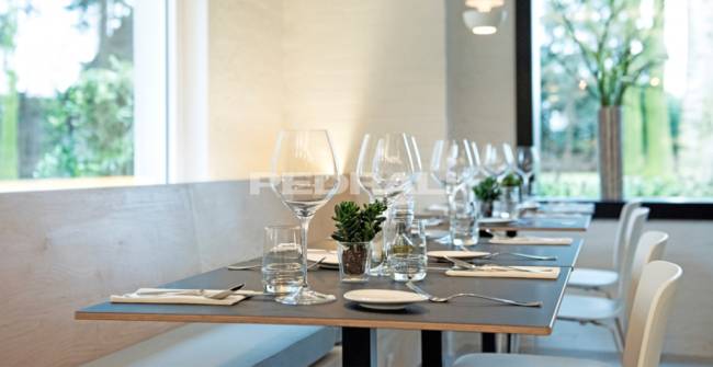 Стул пластиковый на полозьях Babila песочный 540х500х800 мм