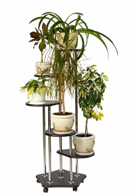 Подставка Калифорния Пятерочка, венге