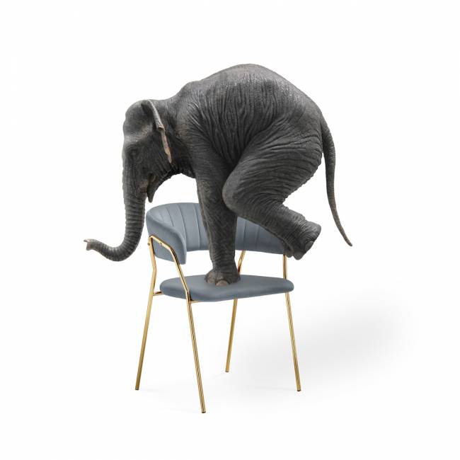 Kamelia 1 white fabric / gold