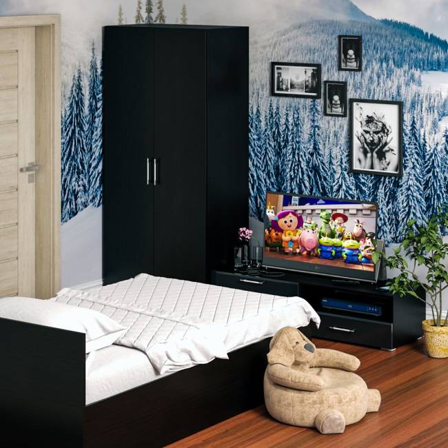 Спальня Стандарт № 3 с кроватью 1200 цвет венге/фасады ТВ тумбы МДФ чёрный глянец