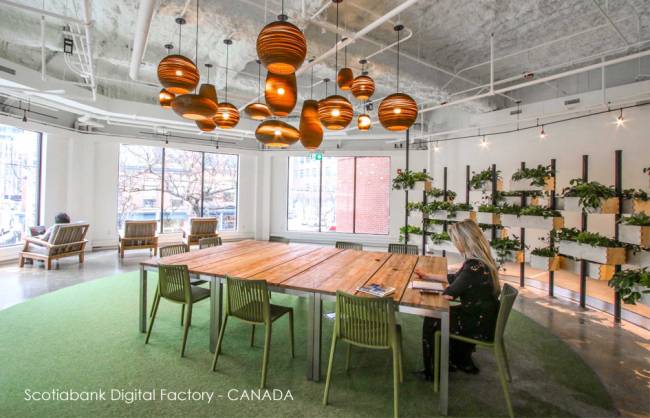 Стул пластиковый Cool зеленый 540х560х820 мм