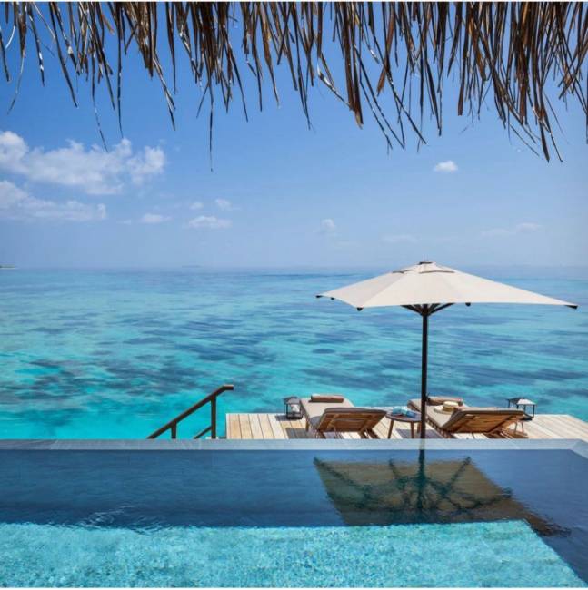 Зонт профессиональный 2х2 м Avocado Clips 2000х2000 мм Зонт профессиональный 2х2 м Avocado Clips 2000х2000 мм