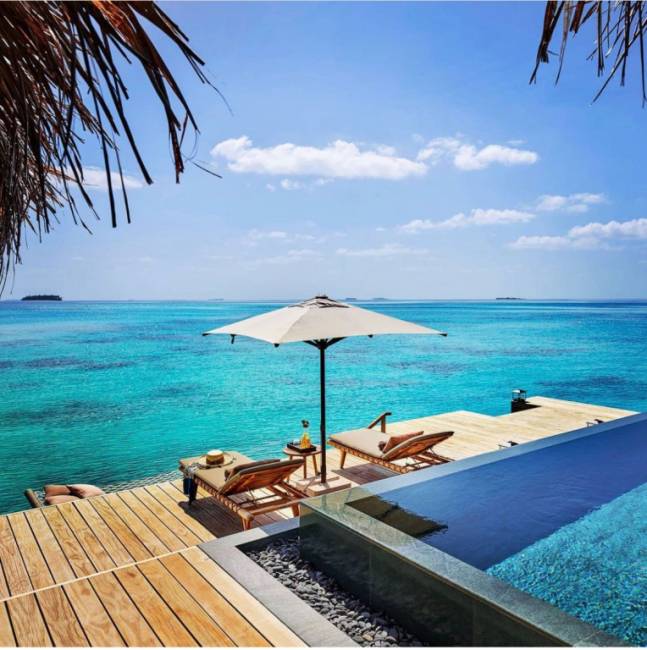 Зонт профессиональный 2х2 м Avocado Clips 2000х2000 мм Зонт профессиональный 2х2 м Avocado Clips 2000х2000 мм