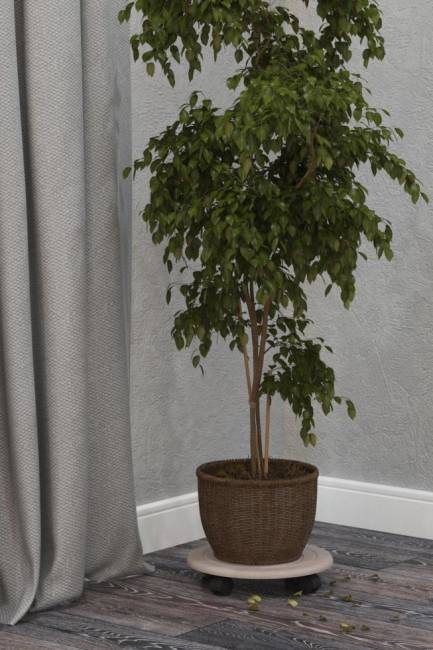 Комплект подставок напольных на колесах Калифорния Спираль, дуб Комплект подставок напольных на колесах Калифорния Спираль, дуб