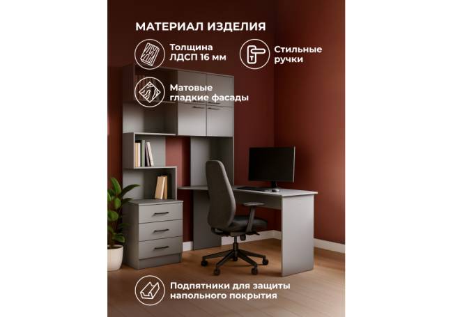 Эльброни правый шиншилла серая