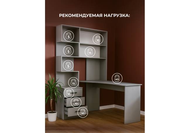 Эльброни правый шиншилла серая