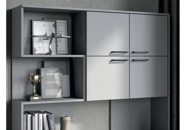 Эльброни правый шиншилла серая