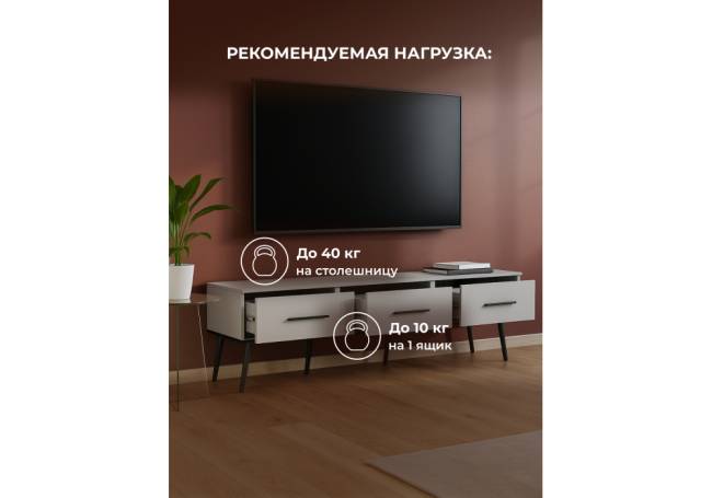 Орсиэль шиншилла серая