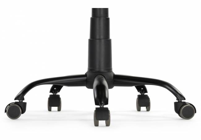 Тибо черный