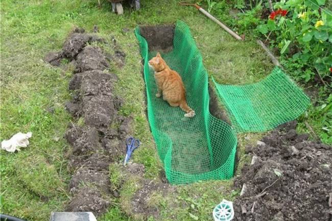 Сетка пластиковая от кротов Black Mole 1х10 м (10 кв.м.)