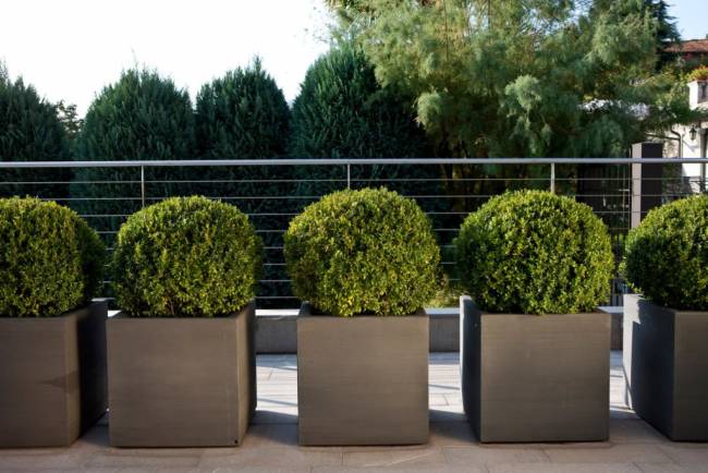 Кашпо пластиковое Quadra Standard 550х550х560 мм