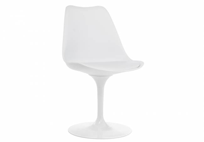 Tulip white Tulip white