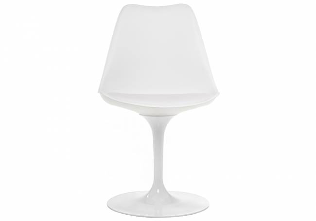 Tulip white Tulip white