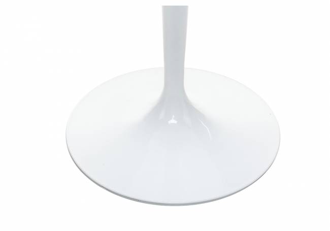 Tulip white Tulip white