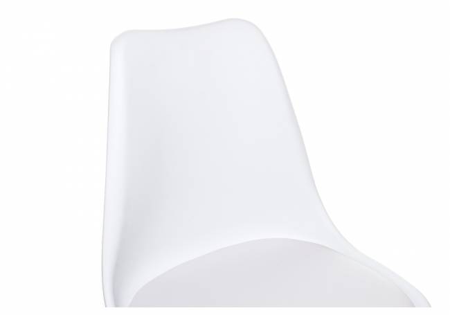 Tulip white Tulip white