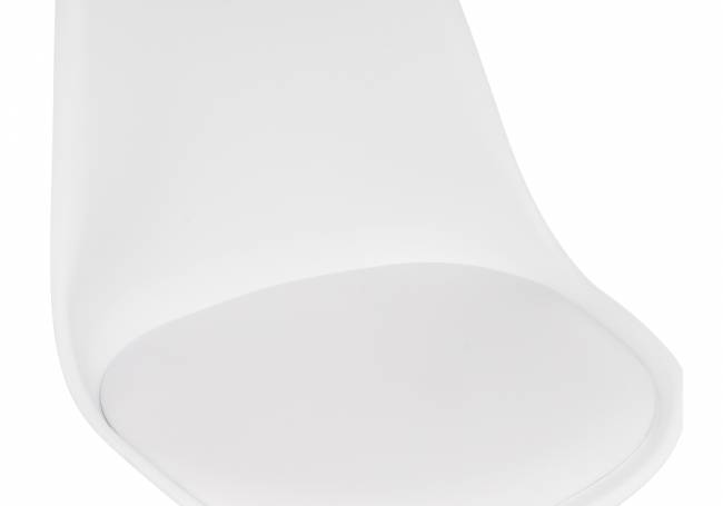 Tulip white Tulip white