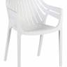 Стул обеденный LMZL-PP707, цвет белый