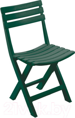 Набор стульев складных BIRKI зеленый (по 4 шт. в коробке)