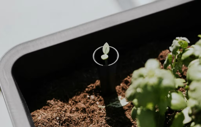 Готовая грядка на ножках Сплендор (Splendor) антрацит Готовая грядка на ножках Сплендор (Splendor) антрацит