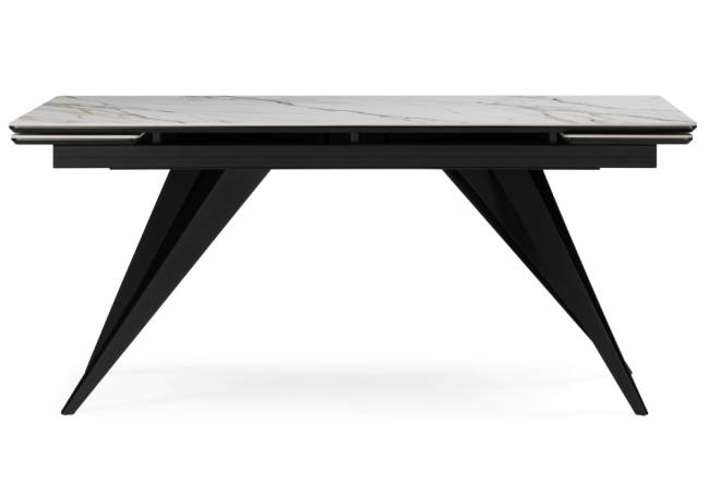 Дарвин 160(220)х89 белый с прожилками gilt white / черный