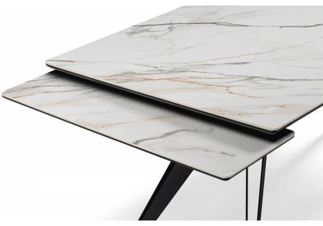 Дарвин 160(220)х89 белый с прожилками gilt white / черный