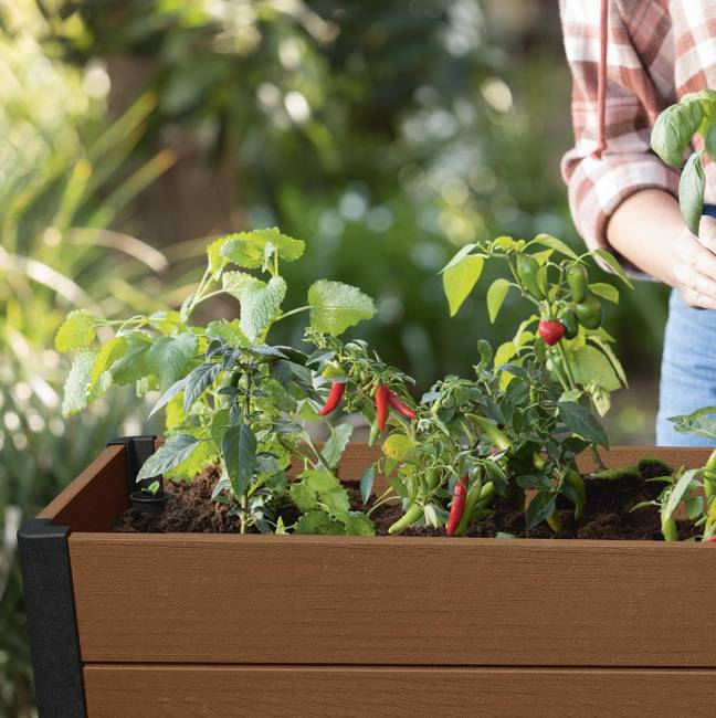 Готовая грядка Дарвин (Darwin elevated Garden Bed Pro) коричневый