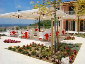 Зонт профессиональный четырехкупольный 6х6 м Wood Poker имитация ироко, слоновая кость 6000х6000 мм