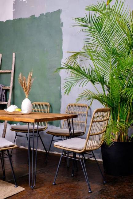 Обеденная группа CHARLOTTE M