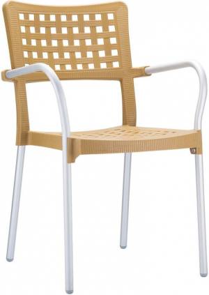 Кресло пластиковое Gala тик 550х490х850 мм